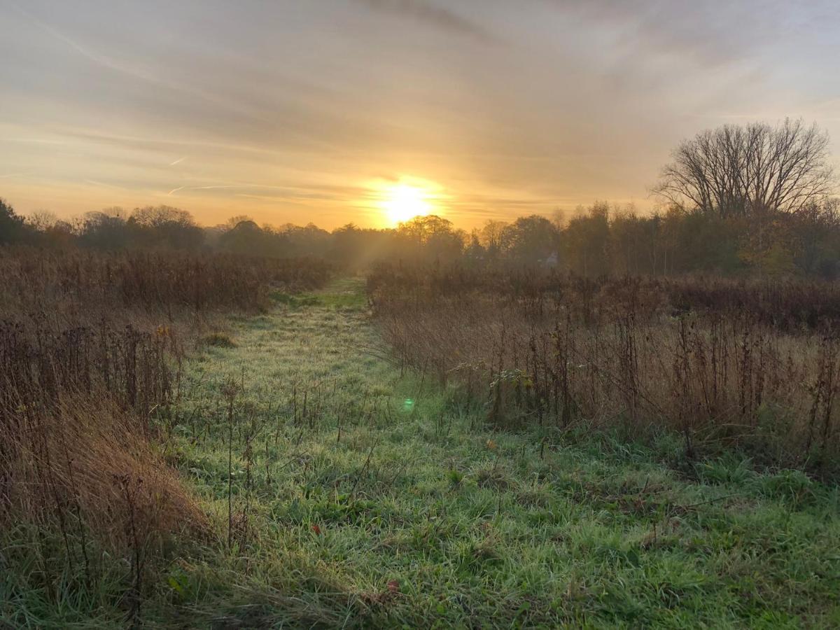 Nene Bed & Breakfast Dilbeek Bagian luar foto