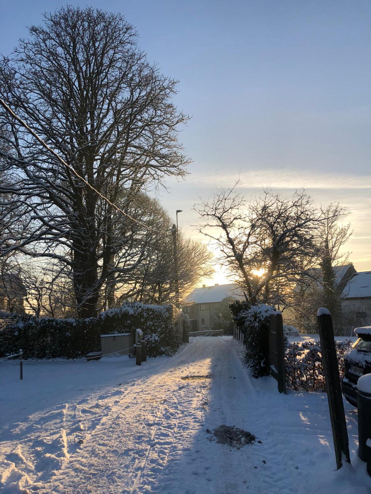 Nene Bed & Breakfast Dilbeek Bagian luar foto