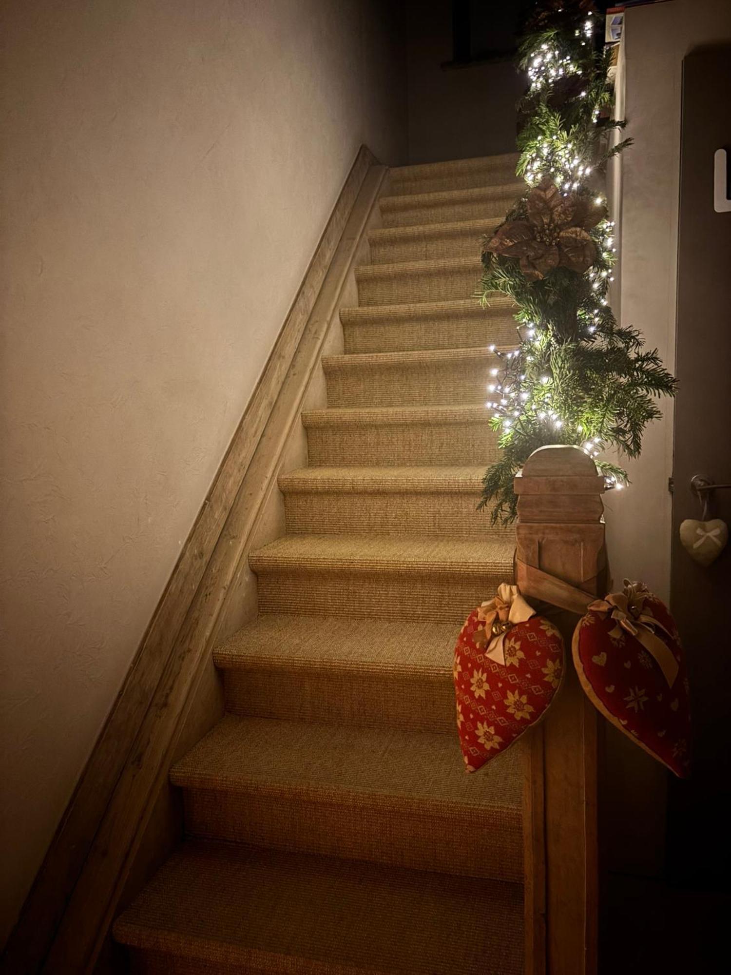 Nene Bed & Breakfast Dilbeek Bagian luar foto