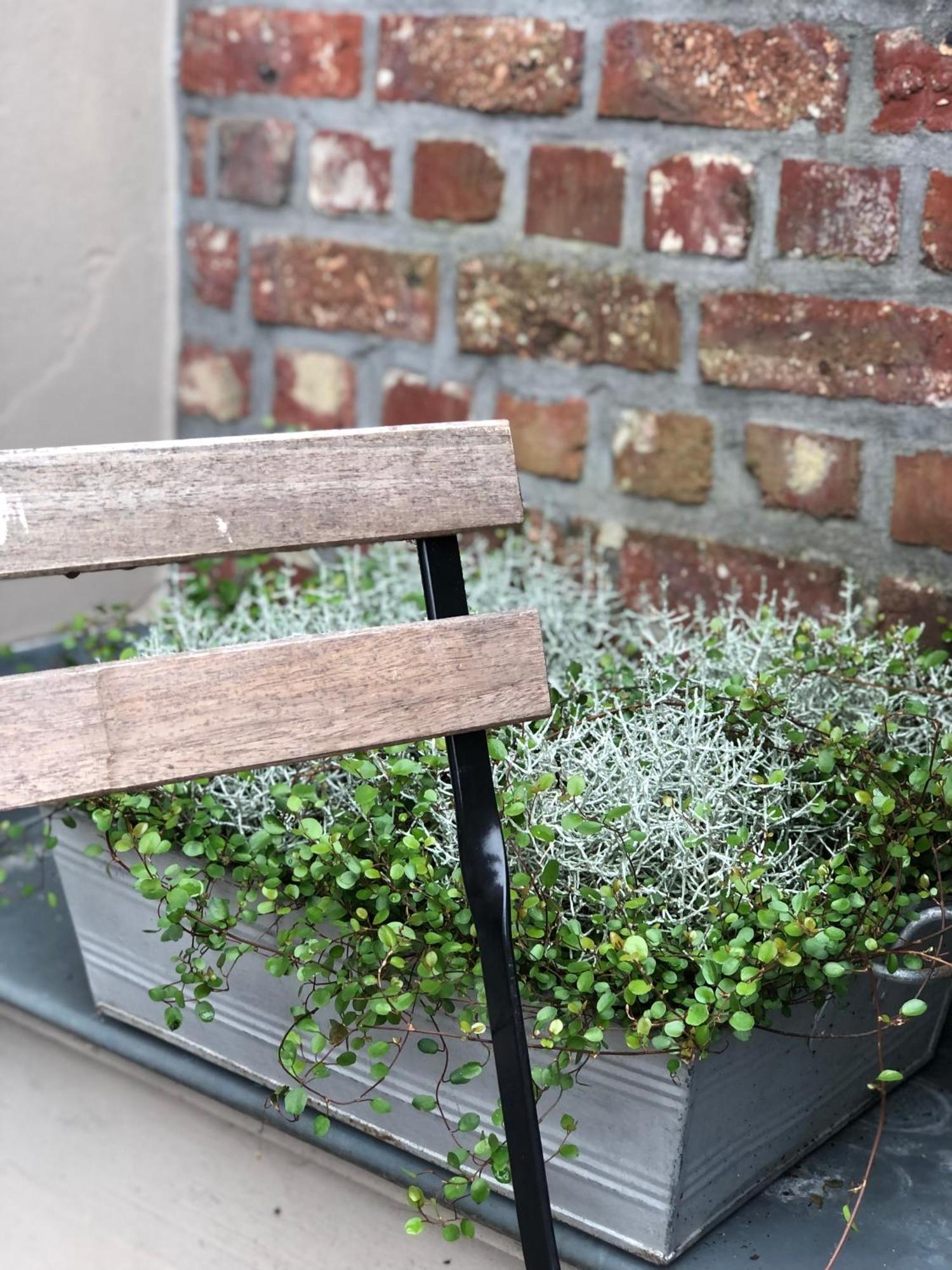 Nene Bed & Breakfast Dilbeek Bagian luar foto