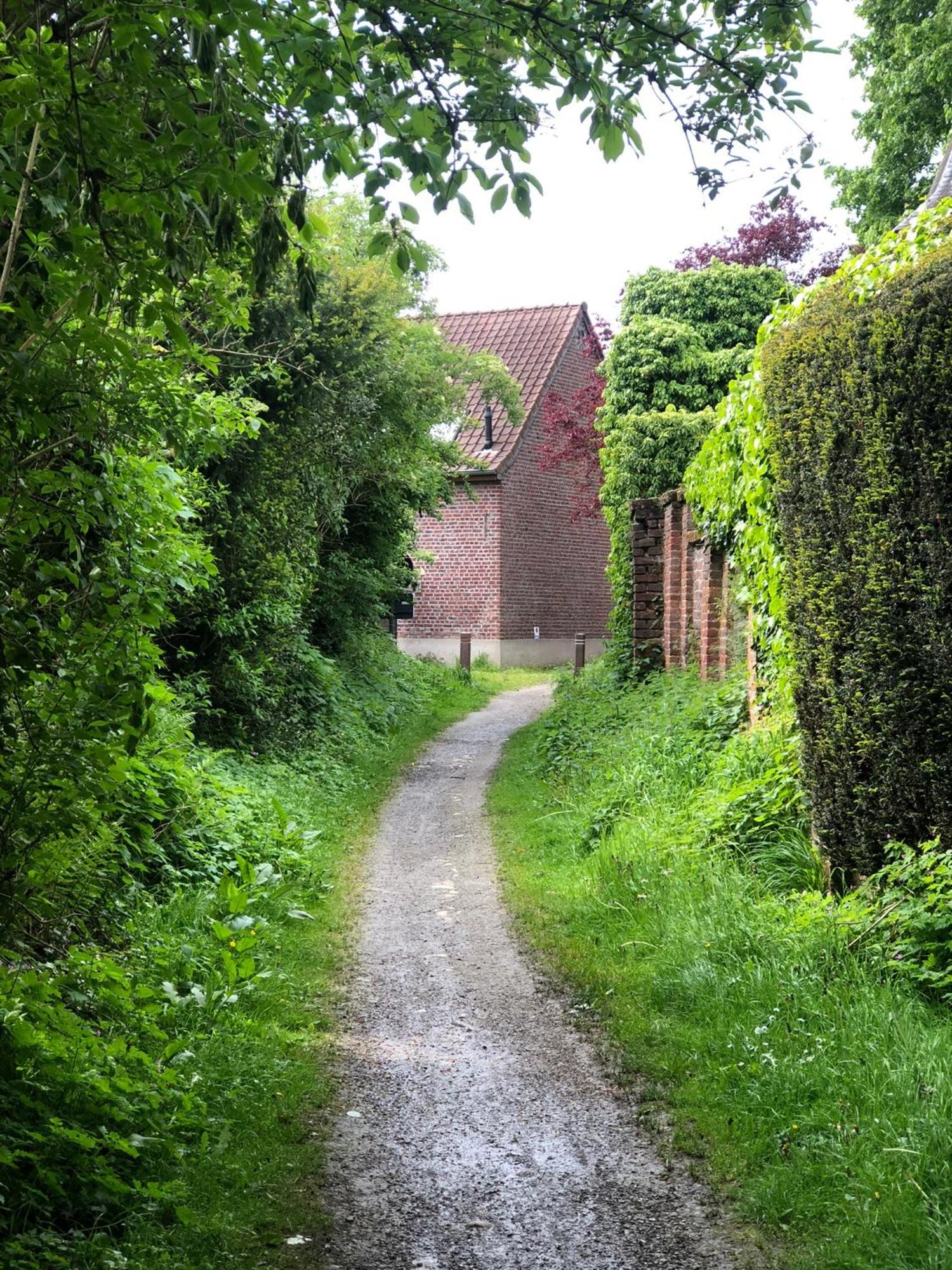 Nene Bed & Breakfast Dilbeek Bagian luar foto